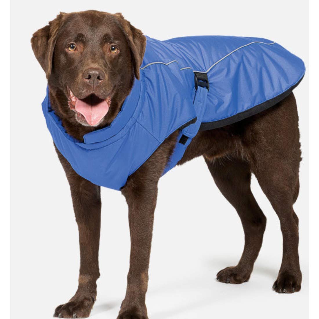 Danish Designs Blue Sports Luxe Dog Coat 25cm (10")