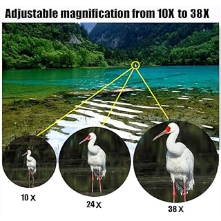 BORWOLF Binocolo professionale di alto potere 10-30X del telescopio del binocolo 10-380X100 dello zoom di alto livello di ingrandimento HD per il birdwatching