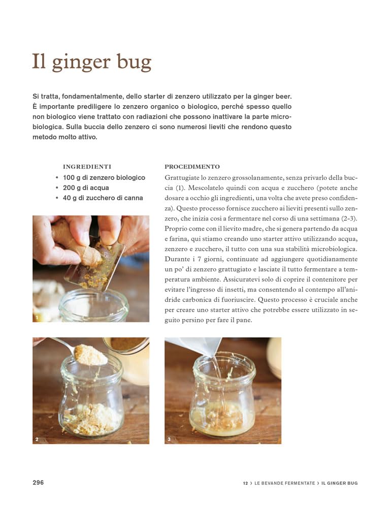 Il grande libro della fermentazione. Esplorazioni nei sapori segreti dei microrganismi