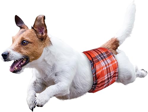 Miniatura 7 de MICOOYO Bandas lavables para el vientre para perros machos, pañales reutilizables para perros, envolturas absorbentes para perros con cierre