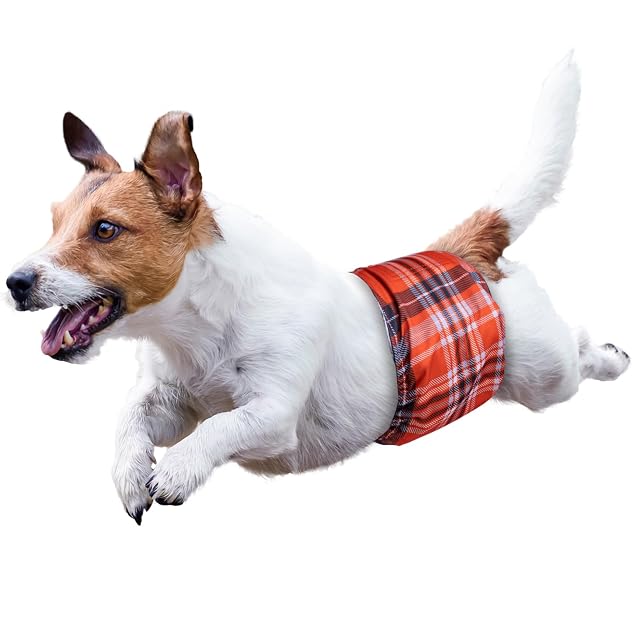 Foto 6 de 6 de MICOOYO Pañales Reutilizables para Perros machos, Paquete de 3, Bandas Lavables para el Vientre para Perros