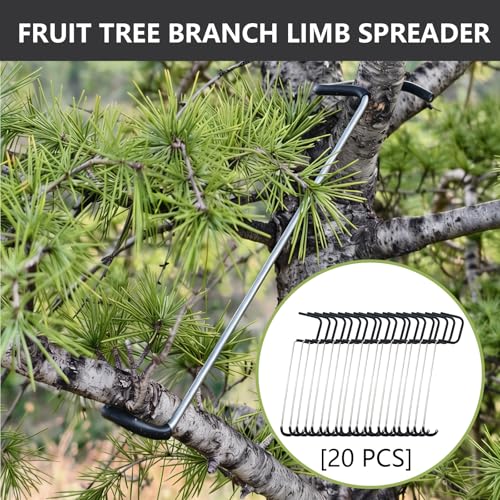 Separadores para ramas de árbol frutal 20 piezas miniatura 2
