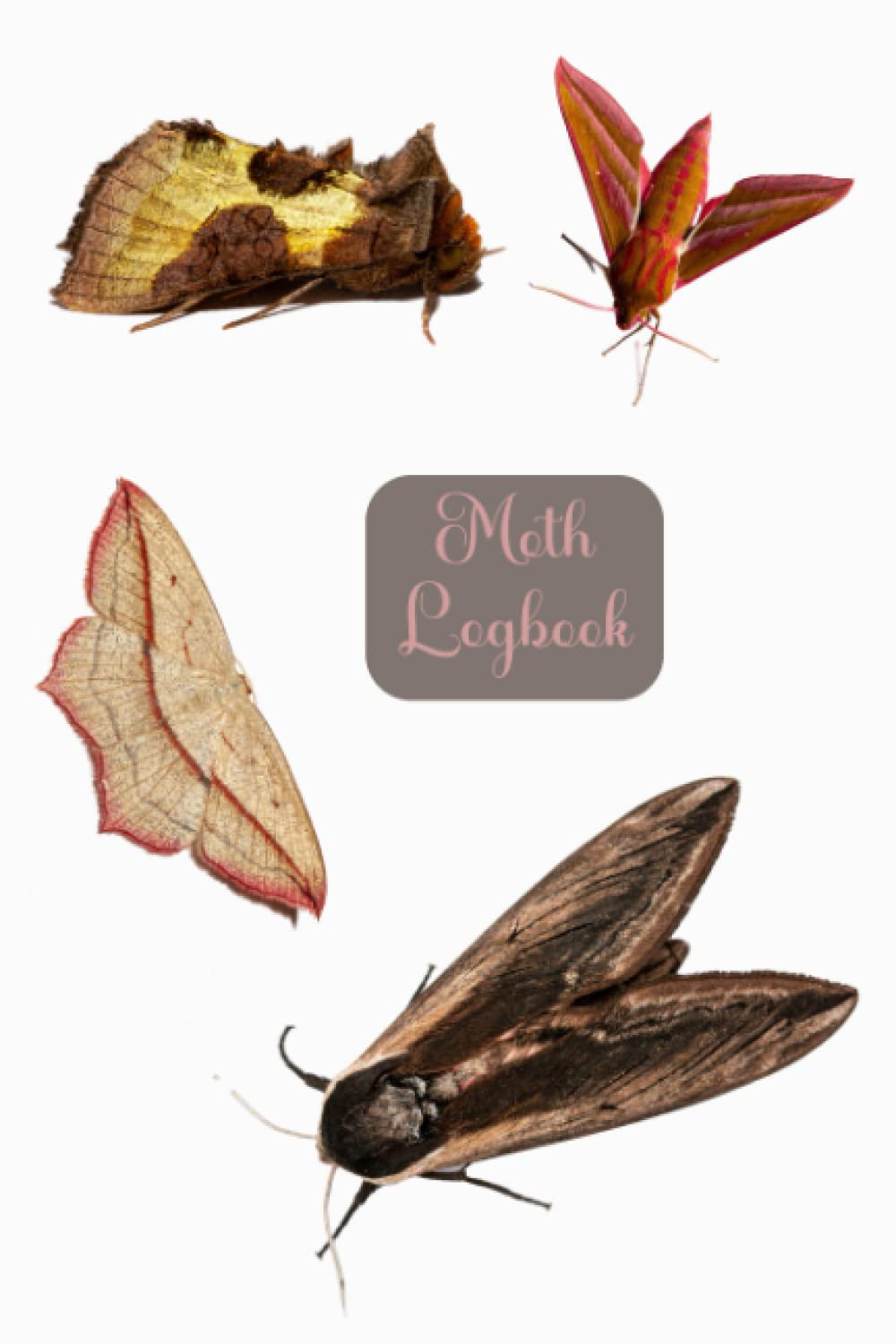 Moth Logbook: Record Your Moth trapping | 120 pages | 6x9 |