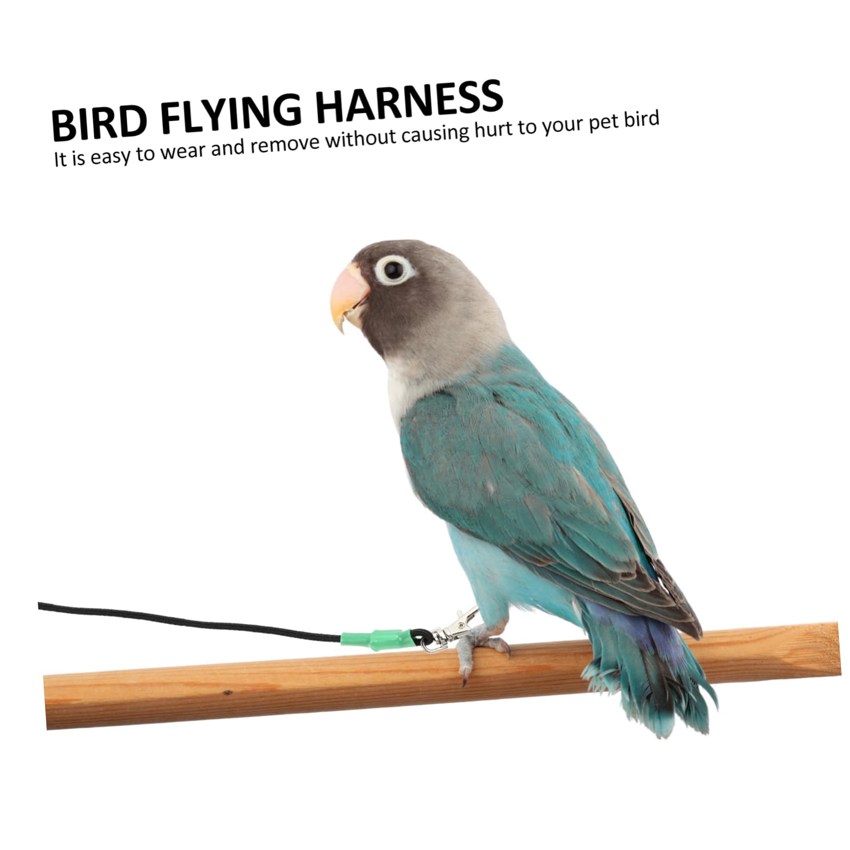2 Correas para Pájaros Loros Cómodas Y Ligeras Ideales para Volar al Aire