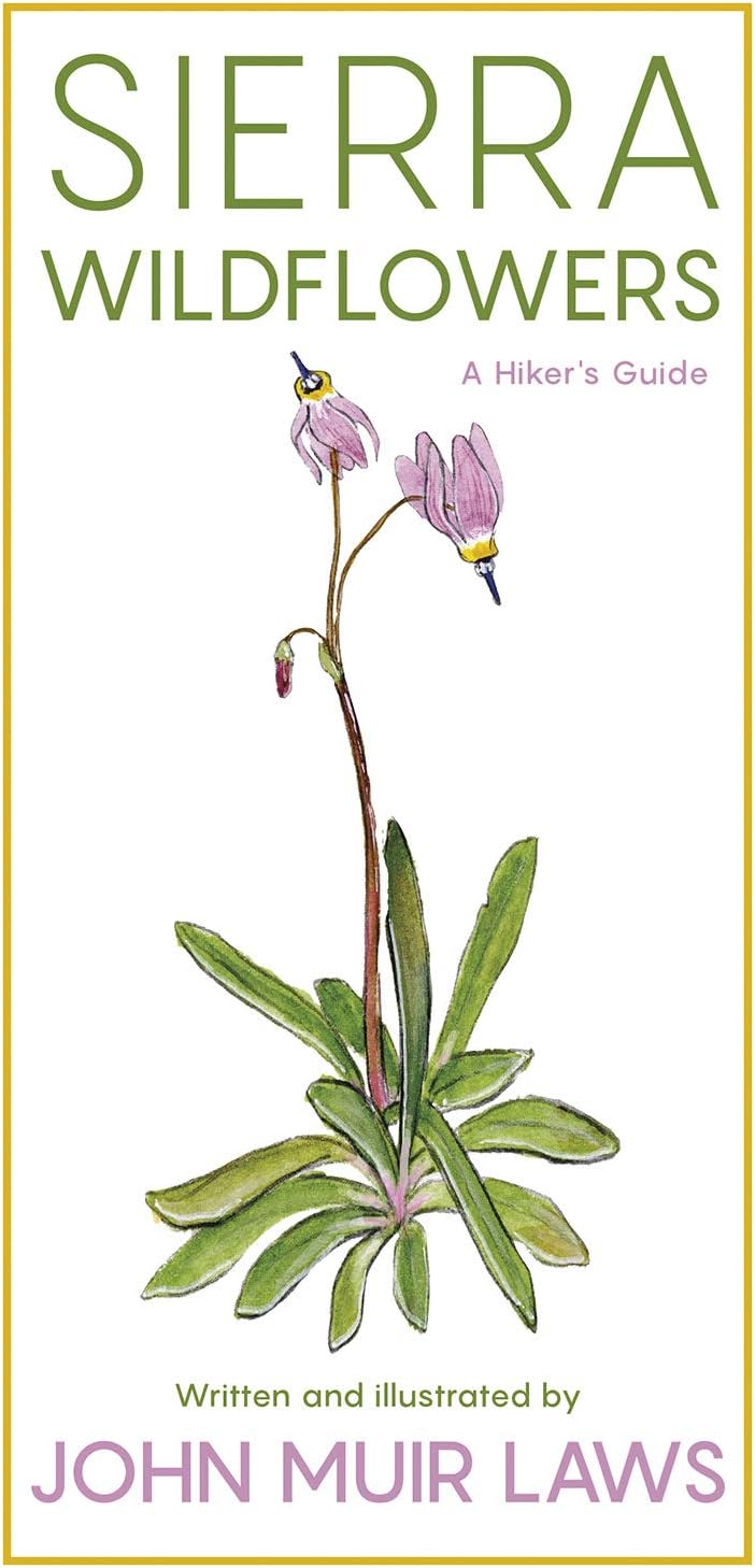 Sierra Wildflowers: A Hiker's Guide