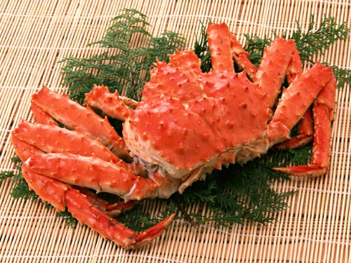 {^oKj p 2.5kgO y{CⓀz