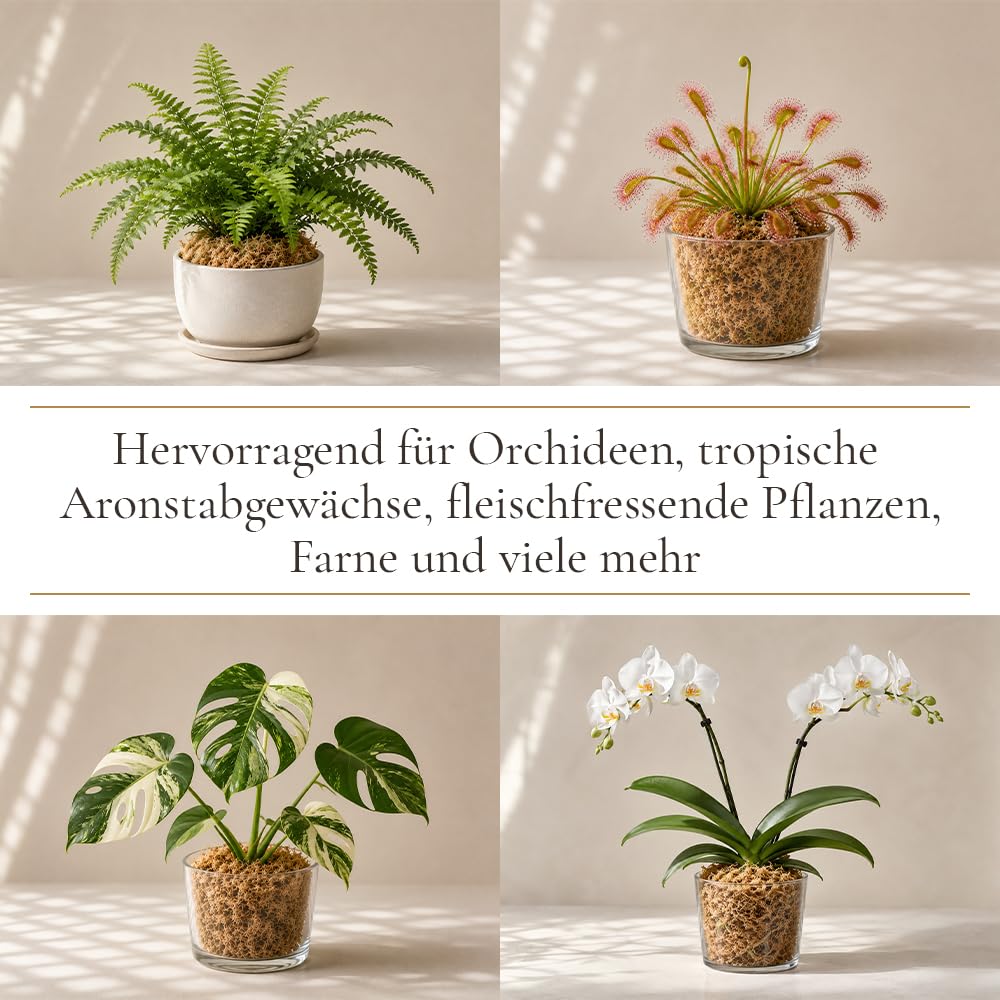 Sphagnum Moos 5Kg, ca. 400L – Premium Orchideenmoos & Pflanzensubstrat | Stark wasserspeichernd, Torfmoos, Für Orchideen, Monstera, Anthurium, Für Stecklinge & Terrarium, Für Zimmerpflanzen