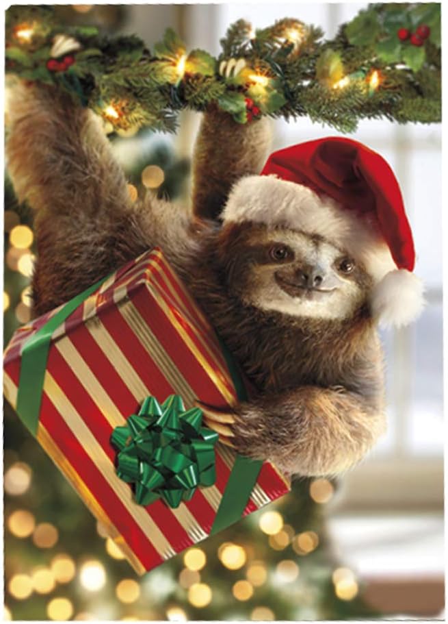 Avanti Christmas Cards with Envelopes, Sloth Bearing Gifts, Pack of 10