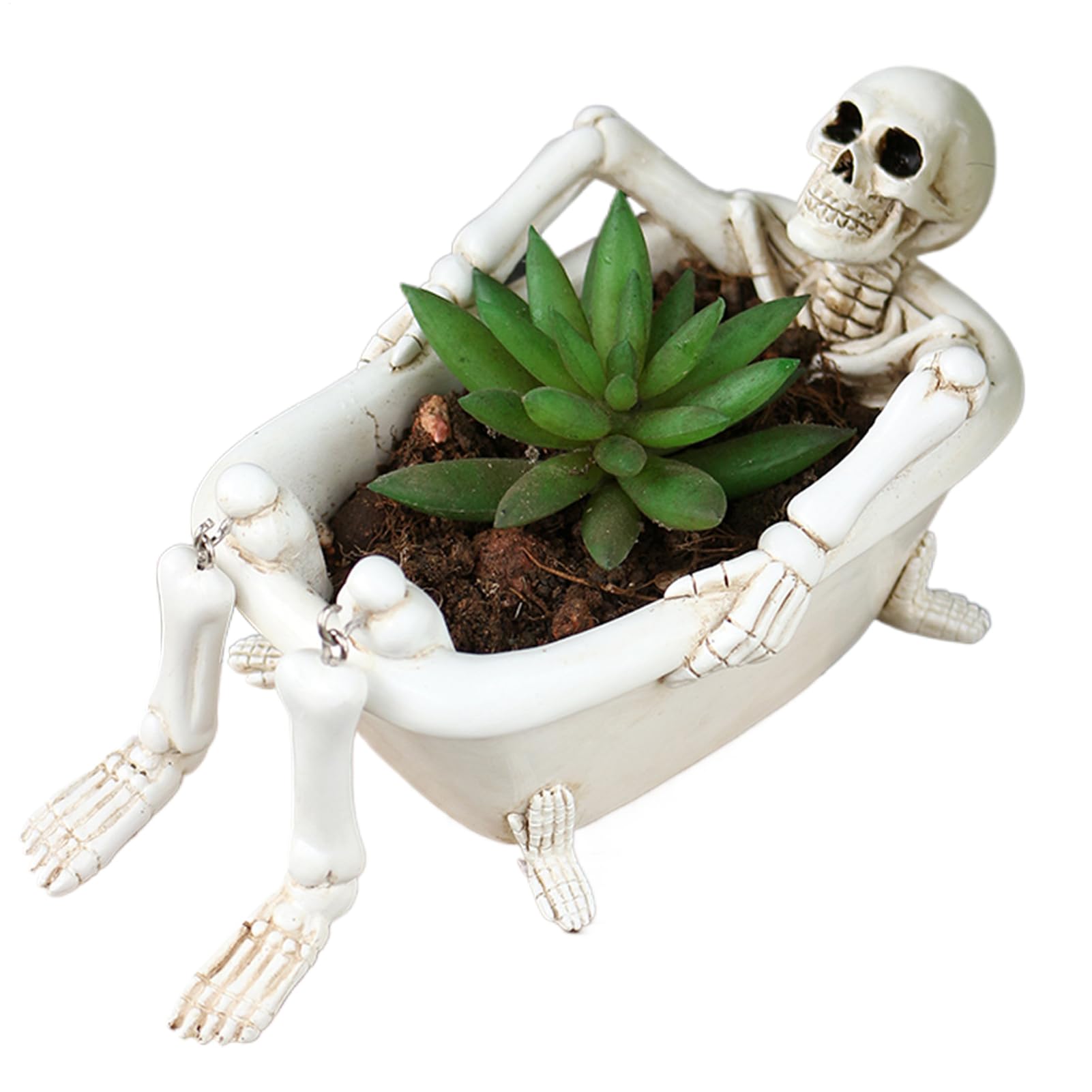 Pot pour succulentes en forme de tête de mort jardinière crâne cactus en résine