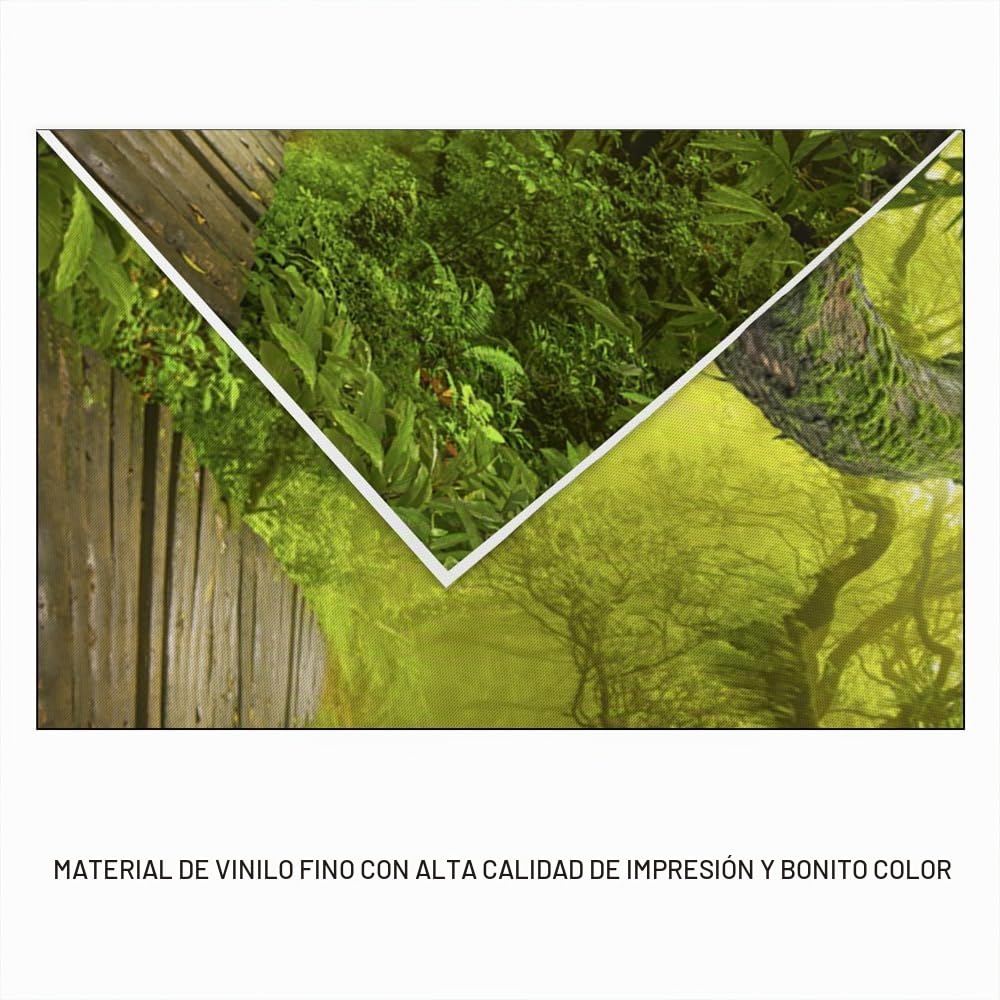 YongFoto 3x2m Vinilo Fondo de fotografía Ver Bosque Verde Selvas Grandes árboles Viejos Camino de Madera Estrecho Telón de Fondo de Fotografía Estudio de Foto Studio Props