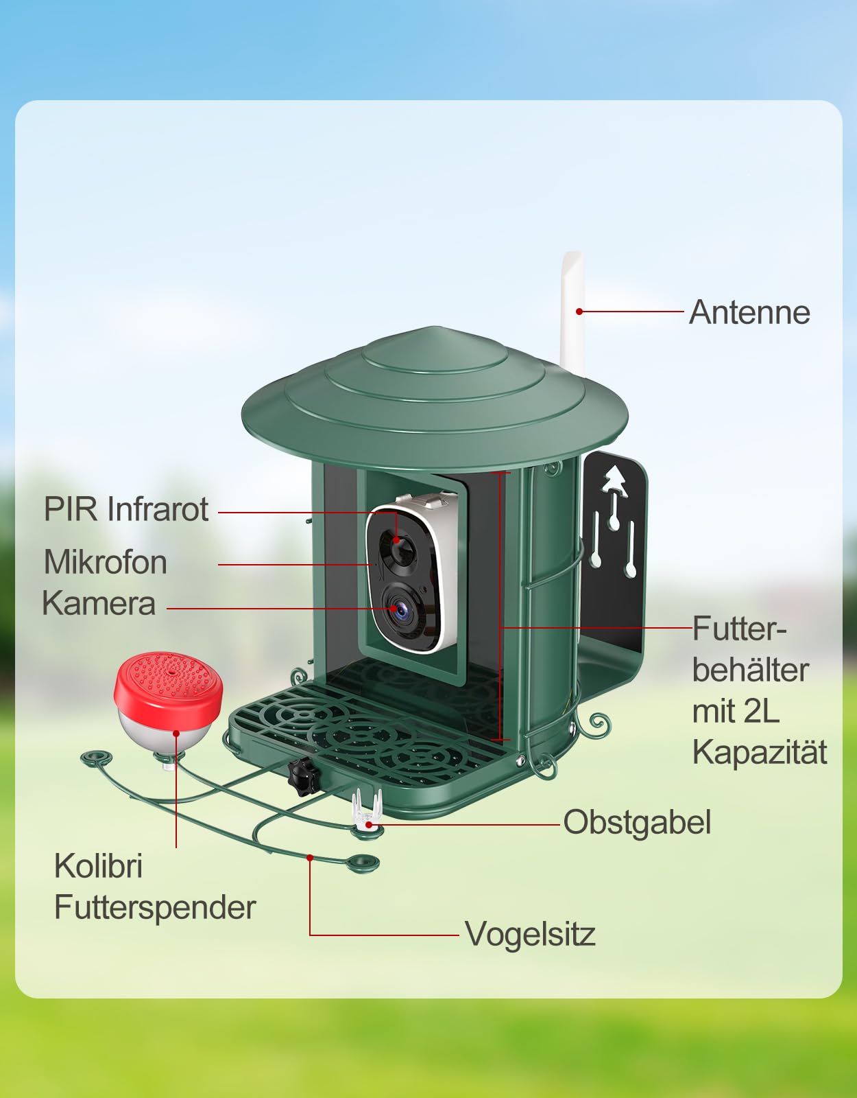 4UMOR Vogelfutterhaus mit Kamera, KI-Vogelerkennung Live-Beobachtung Automatische Aufnahme Solarbetrieb Metall Vogelfutter mit Eichhörnchensicher WLAN & Nachtsicht IP65 Wasserdicht 2K HD Video Smart