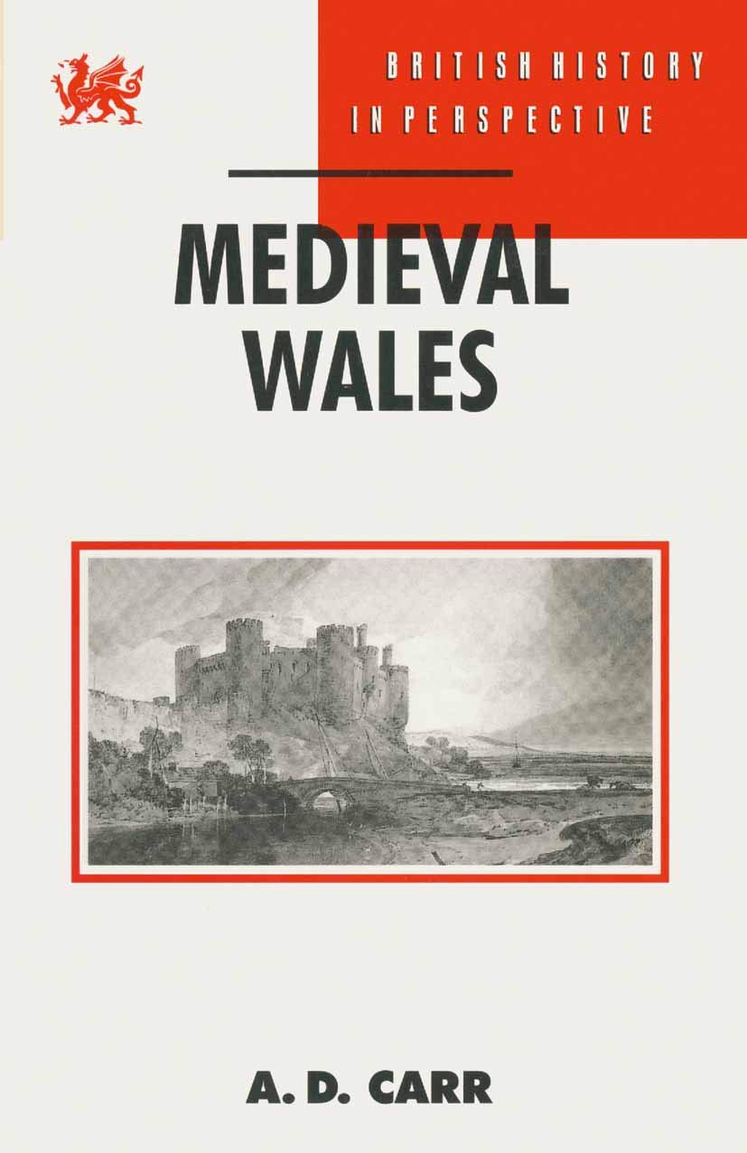 Medieval Wales: 108 (British History in Perspective)