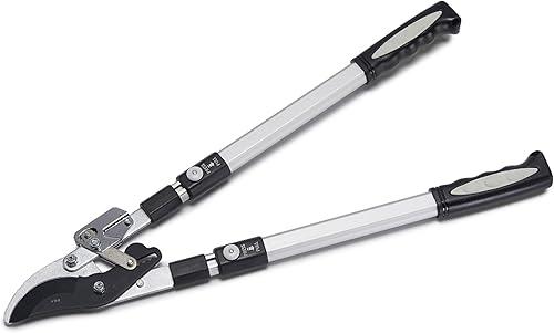Tree Trimmer Loppers - Double Ratcheting Bypass Pruners - Extendable 26" - 40" L