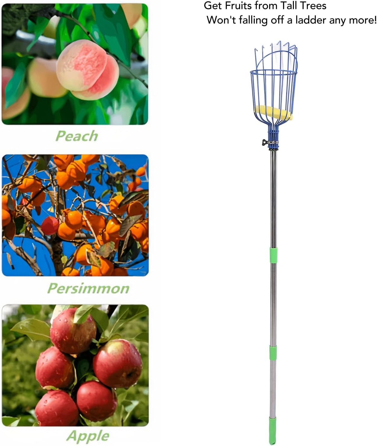 Long Handle Fruit Catcher, Adjustable Length Up to 4.2m, Fruit Picker Pole Tool with Basket, Foam Pad, Labor Saving, Freshness Protection, Easy to Use for Lemon, Orange, Persimmon