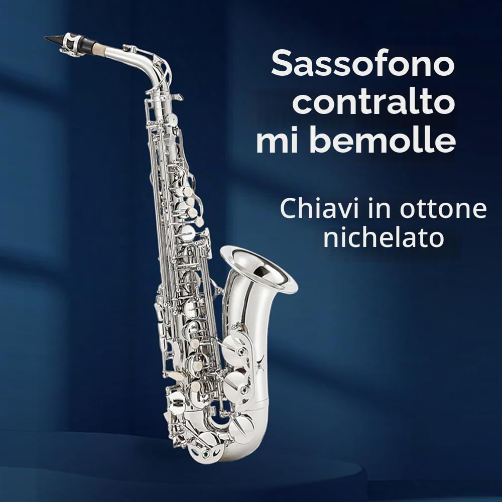Sassofono contralto in eb professionale, kit completo per principianti, con custodia, bocchino, cinghie, ance e kit di pulizia, perfetto per studenti e adulti (nichel)