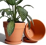 8 Pot en argile de pouce pour plante avec Saucer - 2 Grand pot de terre cuite avec trou de drainage, pot d'argile planteurs, pot de Terracotta pour plante extérieure intérieure