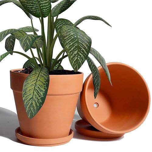 vensovo 8 Inch Clay Pot for Plant with Saucer -