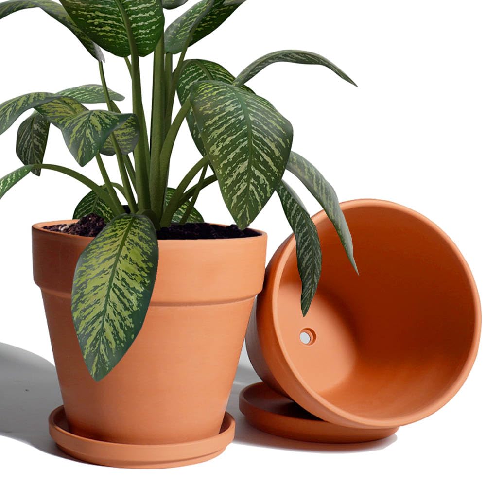Amazon.com: vensovo 8 Inch Clay Pot for Plant with Saucer - 2 Pack