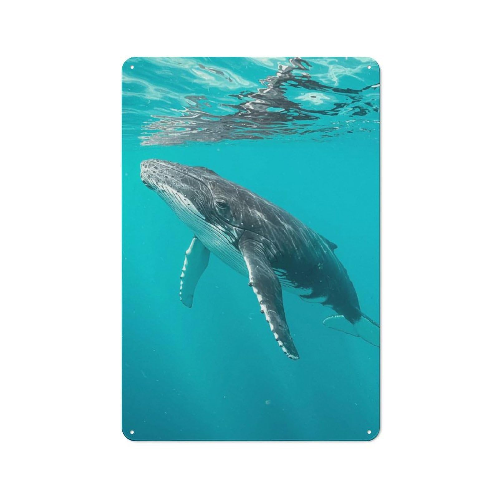 Junmoney Humpback Whale Underwater-1 Metal Wall Sign 30X20cm Featuring Humpback Whale Underwater For Bar Or Restaurant, For Restaurant Interior Fans