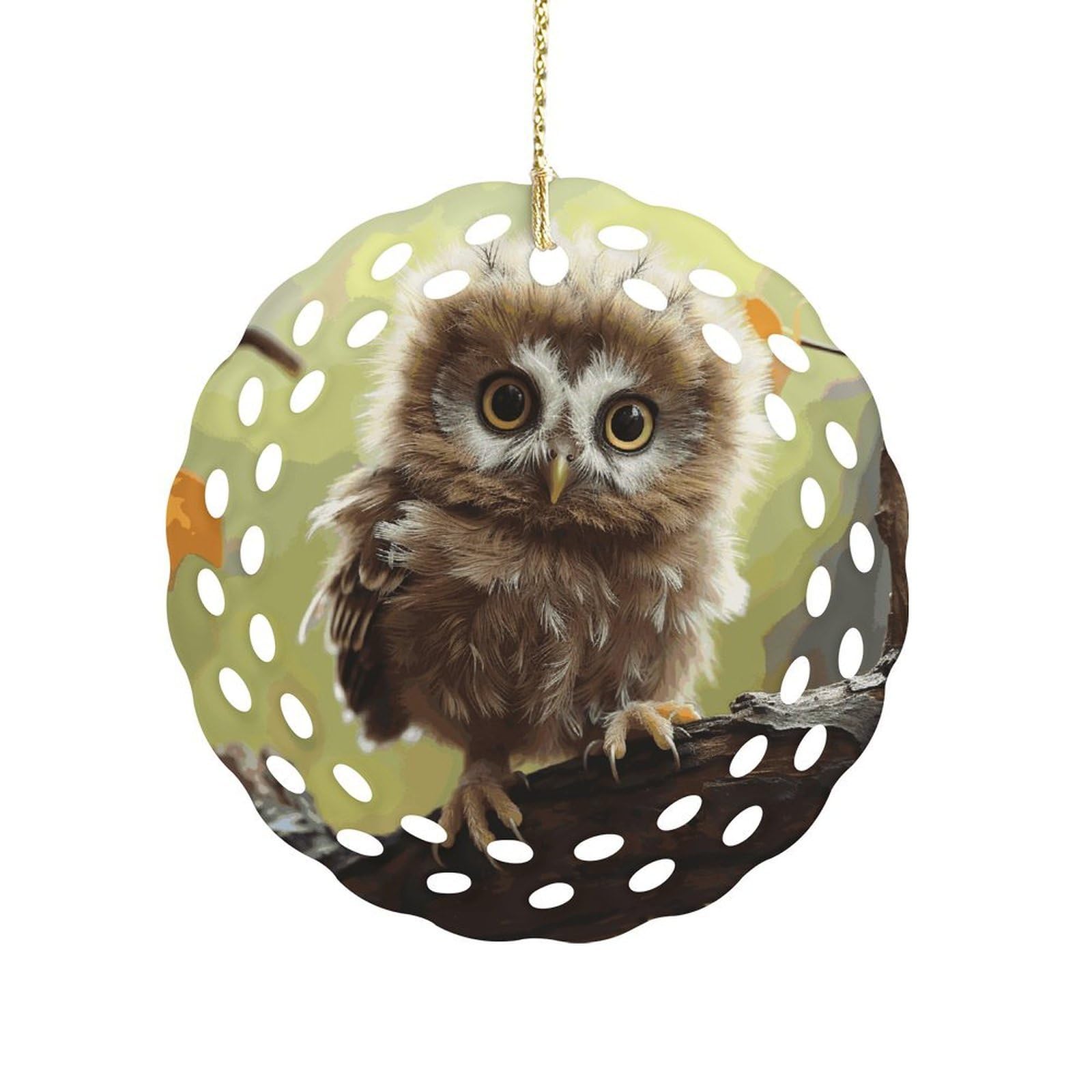 Wsoihfec Women's Style Real Cute Baby Owls Hanging Ornament 3 Inch Round,1-Pack,Xmas Decor -Two-Sided Printed,Friend Ornament Gifts For Friends Coworker Sisters
