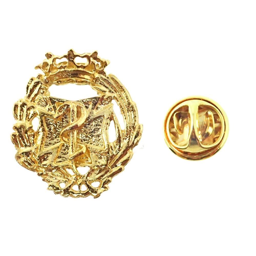 Insignia Profesional Odontología Escudo Plata 925m Ley 17mm. Pin Chapado Oro Cierre Trasero latón