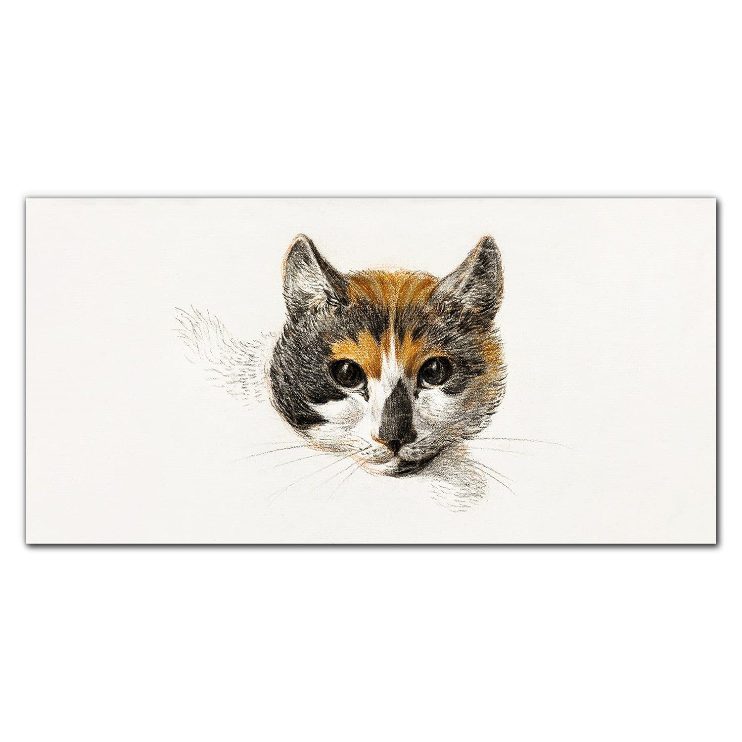 Impression sur verre chat 100x50cm en verre trempé durable - 8