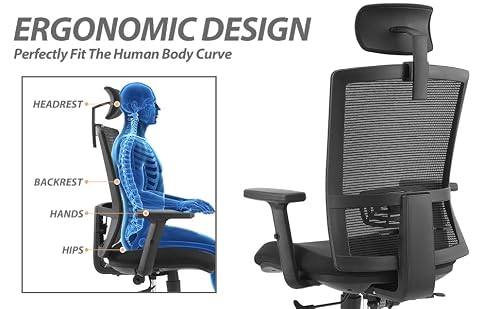 Worksmyth Ergonomic Office Chair, High Back Home Office Desk Chair With Adjustable Lumbar Support And Headrest, Swivel Computer Task Chair With Tilt Function, Aluminum Alloy Base, Black #TOP3
