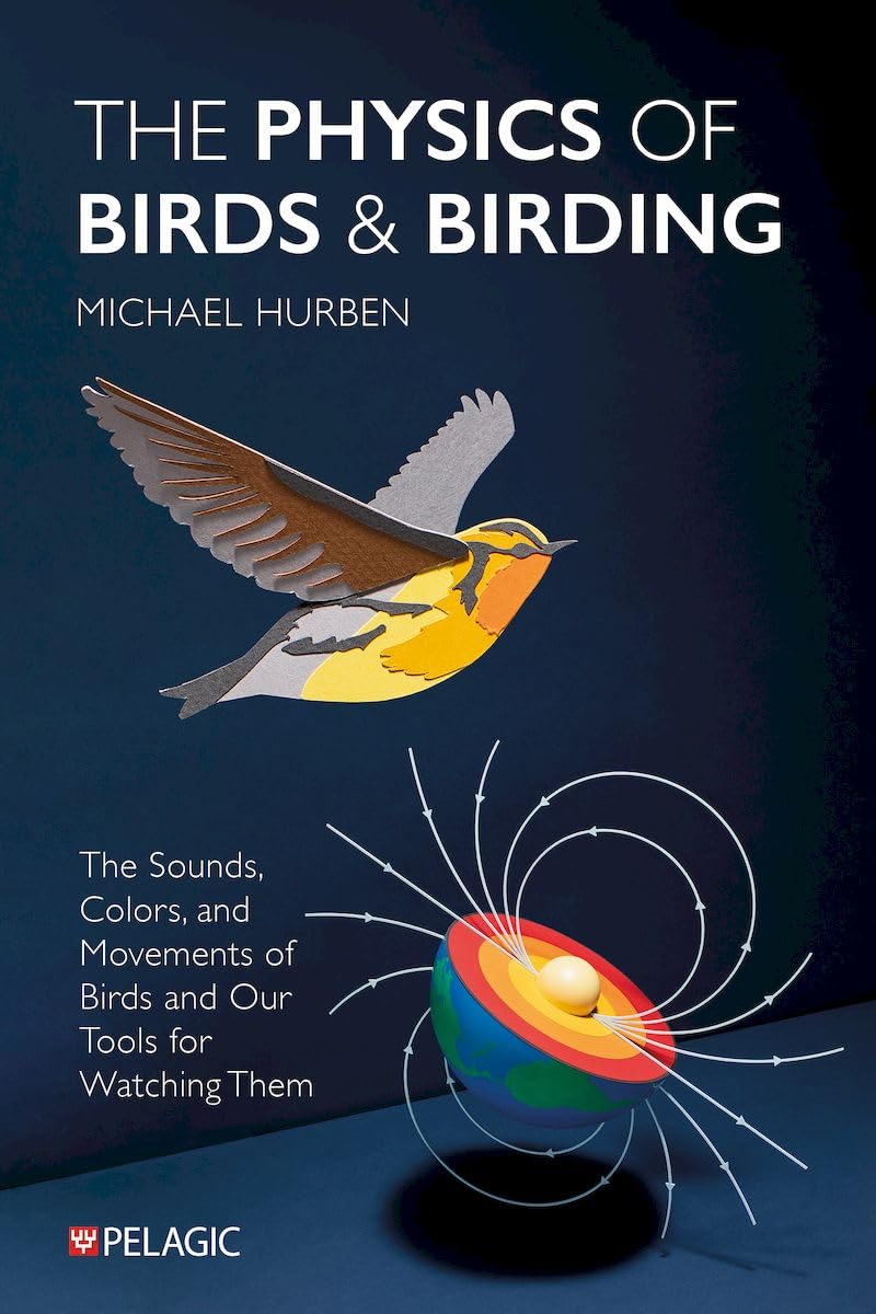 The Physics of Birds and Birding by Michael Hurben (Paperback Book)