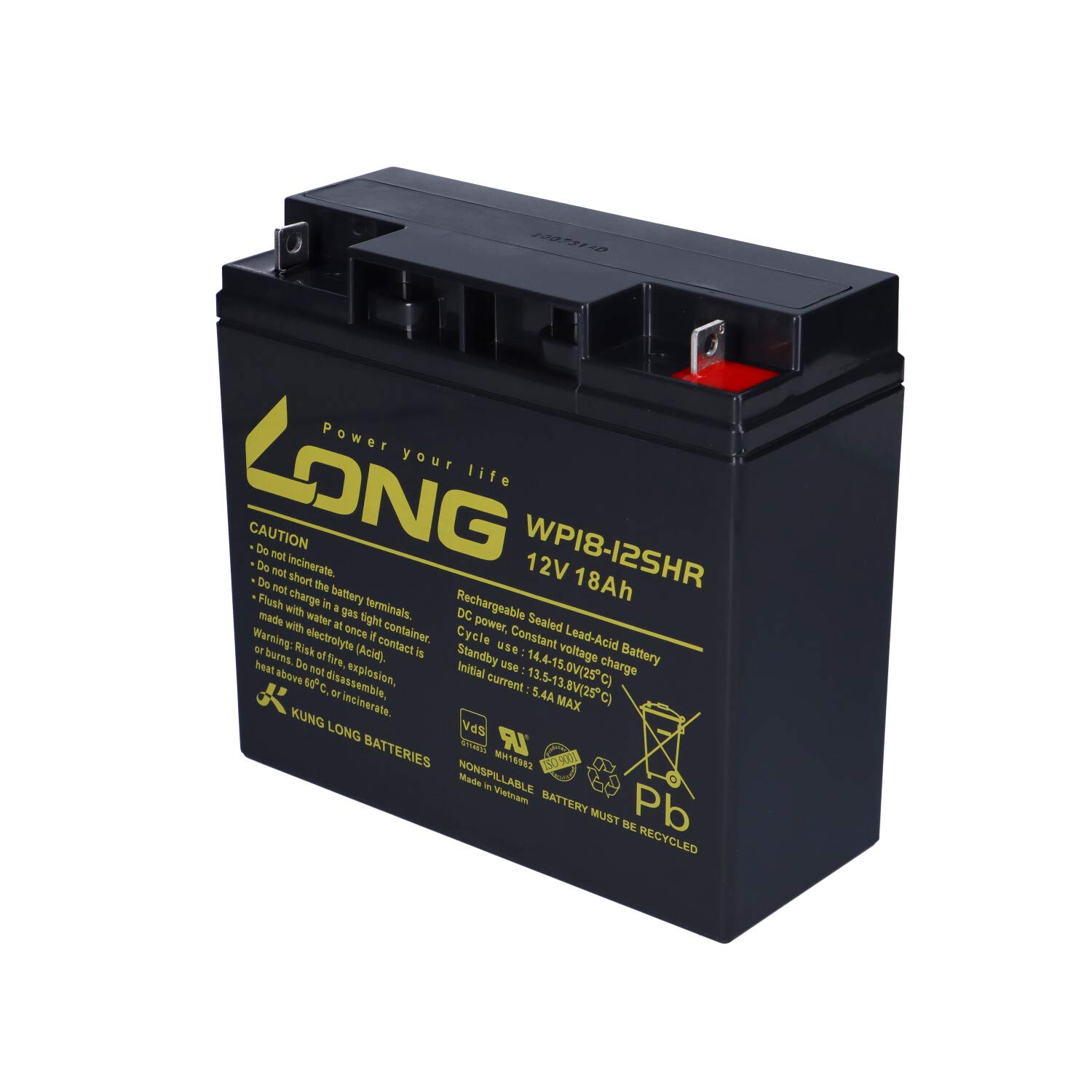 WSB Batterie 18 Ah 12 V AGM au plomb pour tondeuse à gazon, tracteur-tondeuse autoportée 17 Ah 19 Ah 20 Ah 22 Ah 23 Ah
