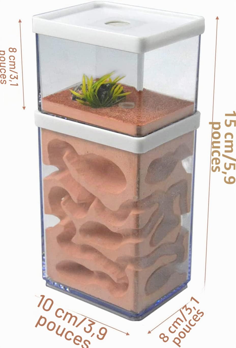aleawol Ferme naturelle Formicarium Nid de fourmis en plâtre transparent Maison de fourmis Élevage de fourmis Terrarium Maison Ant Farm Ant Nest Habitat
