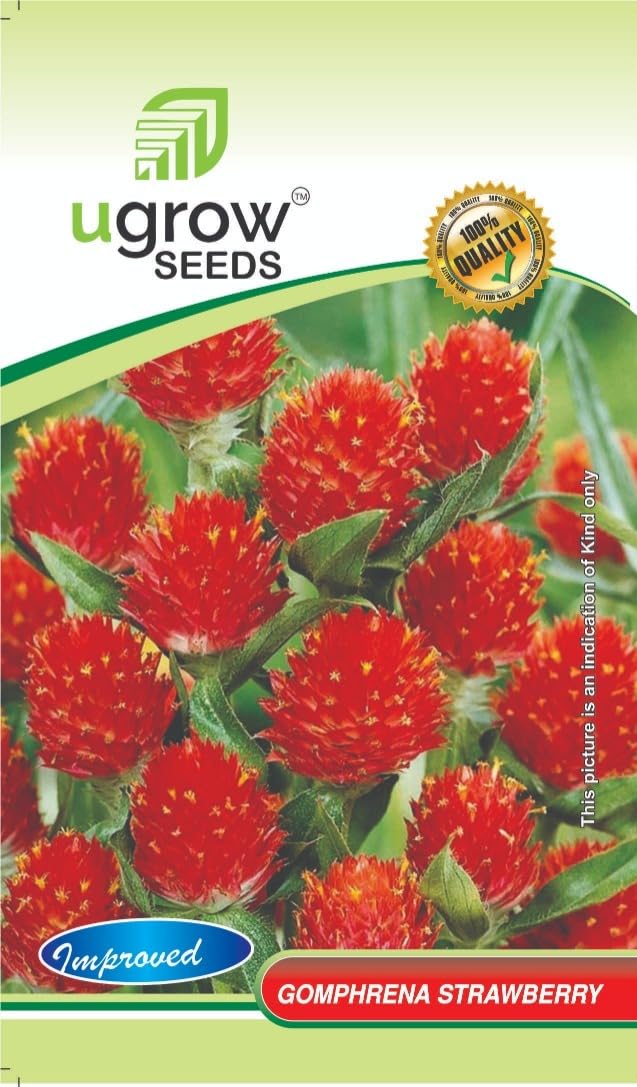 UGROW INDIA Gomphrena Red Strawberry Flower (25 Seeds/Pack) (B09TH7WJ92) Amazon Price History, Amazon Price Tracker