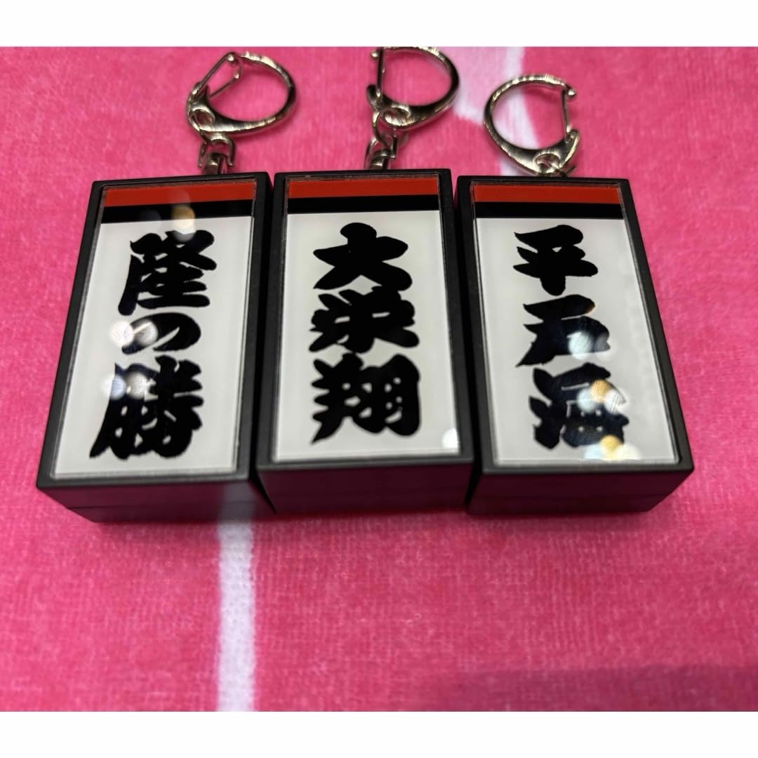 大相撲　電光掲示板風しこ名キーホルダー【豊昇龍】 5点セット 大相撲 電光掲示板風しこ名キーホルダー 豊昇龍 - メルカリ