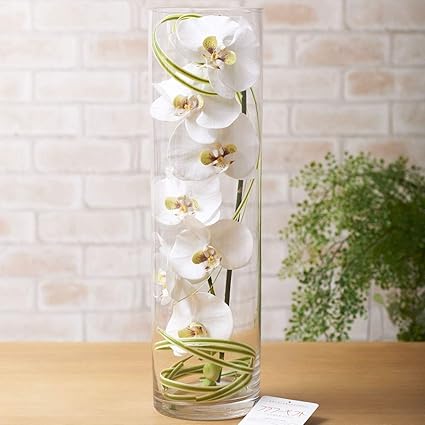 Amazon 造花アート アレンジメントmサイズ 胡蝶蘭アレンジメント 硝子ケース仕立て 造花 オンライン通販