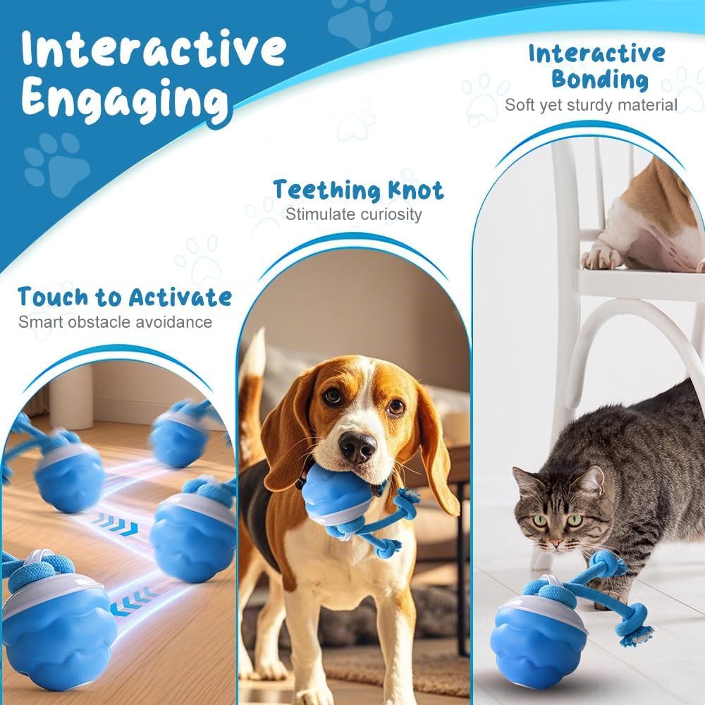 Dog Ball Toy Tail 2.0 Dog Toy, 2025 New Smart Interactive Cats Toys Ball, Squeaky Toy Electric Automatic Rolling Moving Pet Toy Balls with Rope for Cats and Medium Small Dogs Puppy (Orange+Blue, 2pcs)