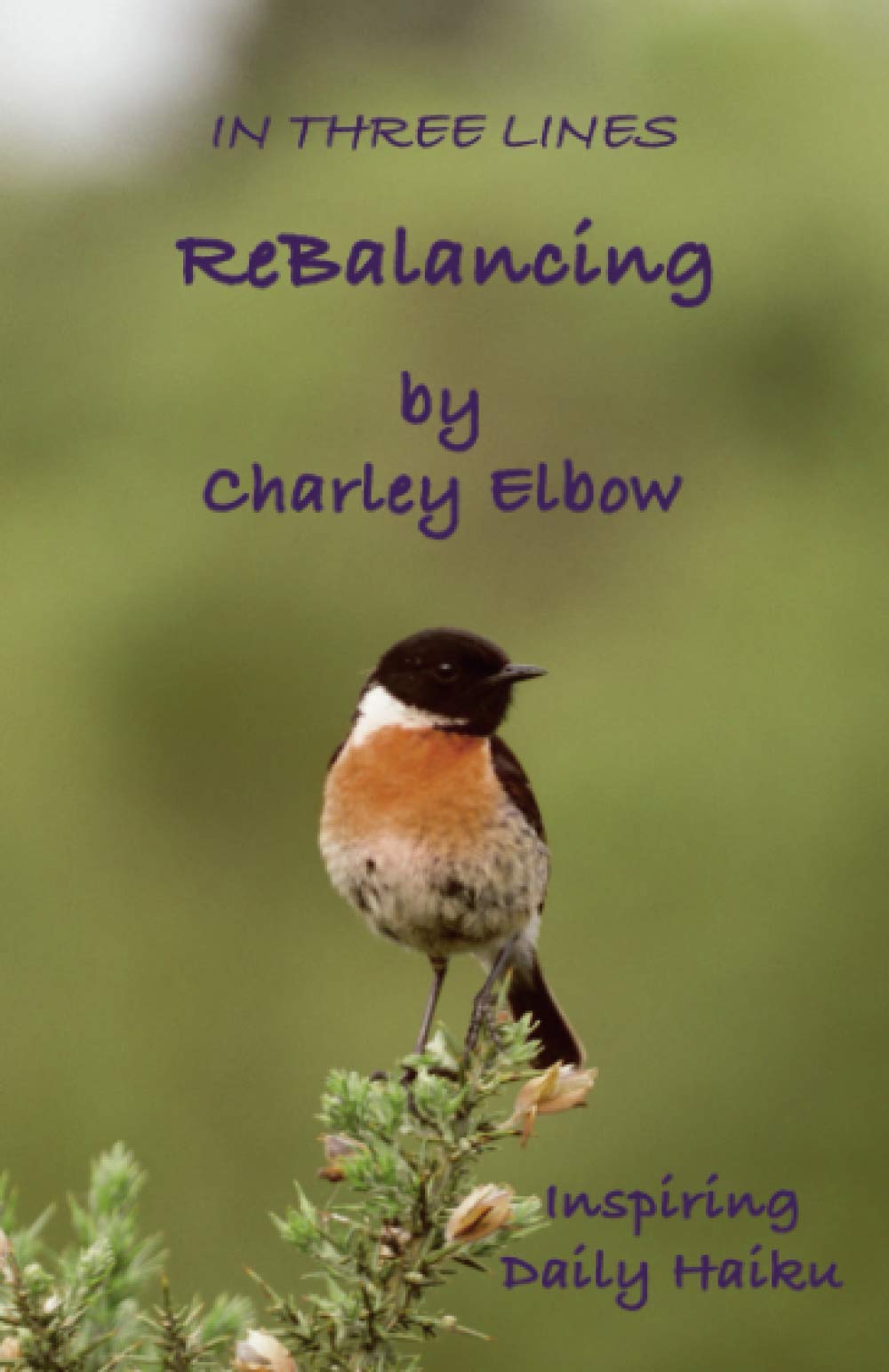 ReBalancing: Inspiring Daily Haiku (In Three Lines)