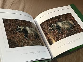 Amazon.co.jp: 宮崎学 写真集 「 死 」 検索：輪廻転生 九相図