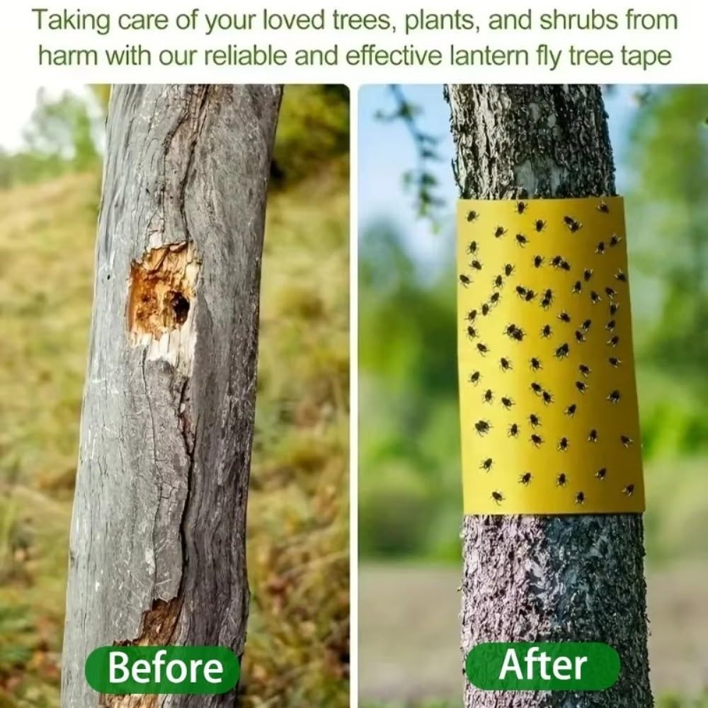 Trees - Cinta adhesiva de doble cara para árboles contra orugas, hormigas y polillas de invierno, trampa para insectos sin pesticidas para jardín (10 cm x 10 m, amarillo)