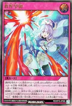 救惺望御 2枚セット 61eLZ3ykZuL._UF350,350_QL50_.jpg