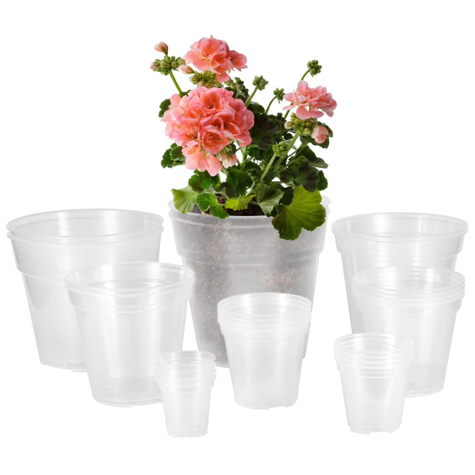 Paniers hydroponiques en plastique pour cultiver de superbes lys de 7,6 à 25,4 cm chez soi