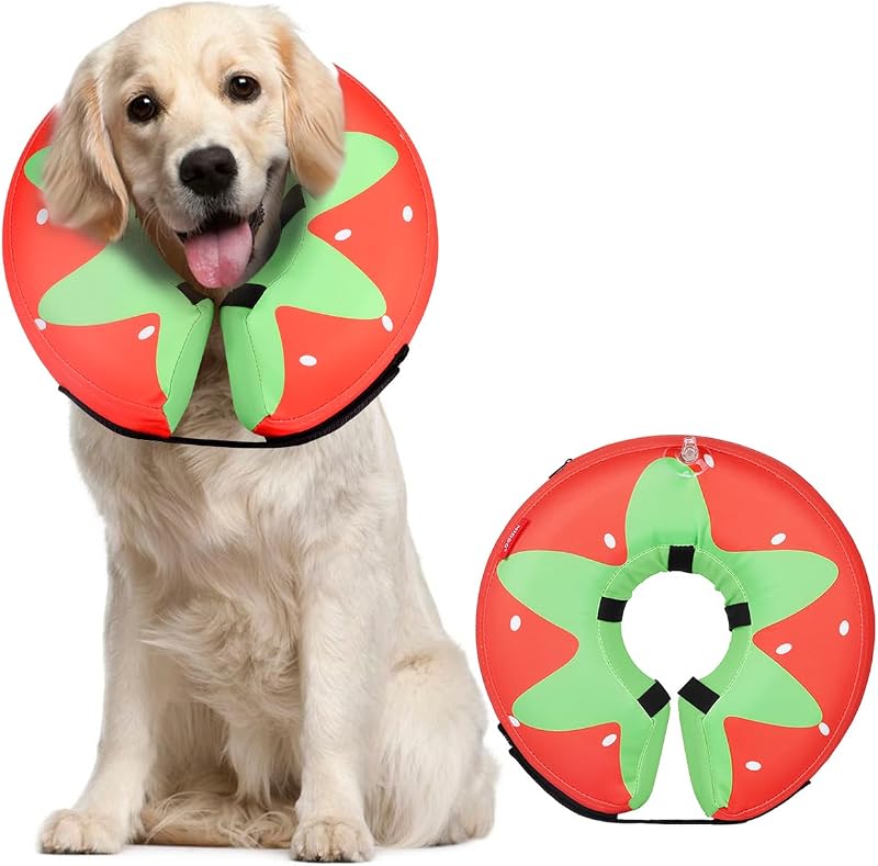 Colar Inflável para Cães MIDOG, Cone Donut de Recuperação Ajustável, Grande