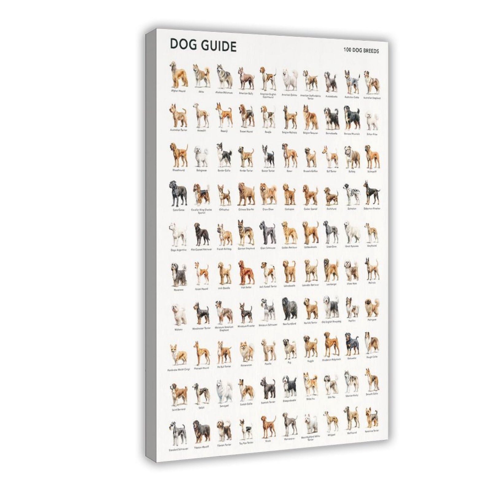 Utgn 100 Dog Breeds Poste Canvas Poster Bedroom Decor Landscape Decor Gift 12X18inch(30X45cm)