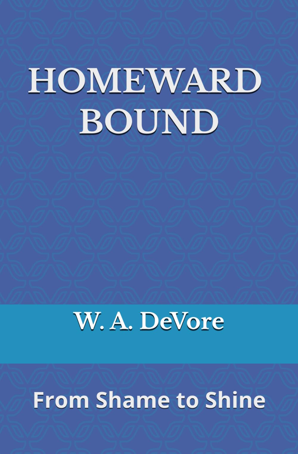 Homeward Bound: From Shame to Shine