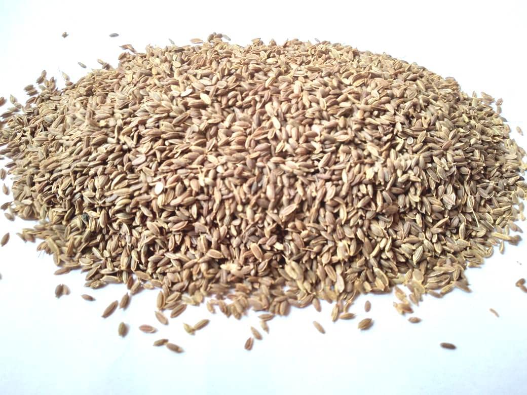 vinarghya – Shepu Seed/Soyo/Dill/Sadapa Vittulu/Suva/Mhashishop/Satakuppi/Saluka/Shibith/Shatapushpa / शेपू -250g 1