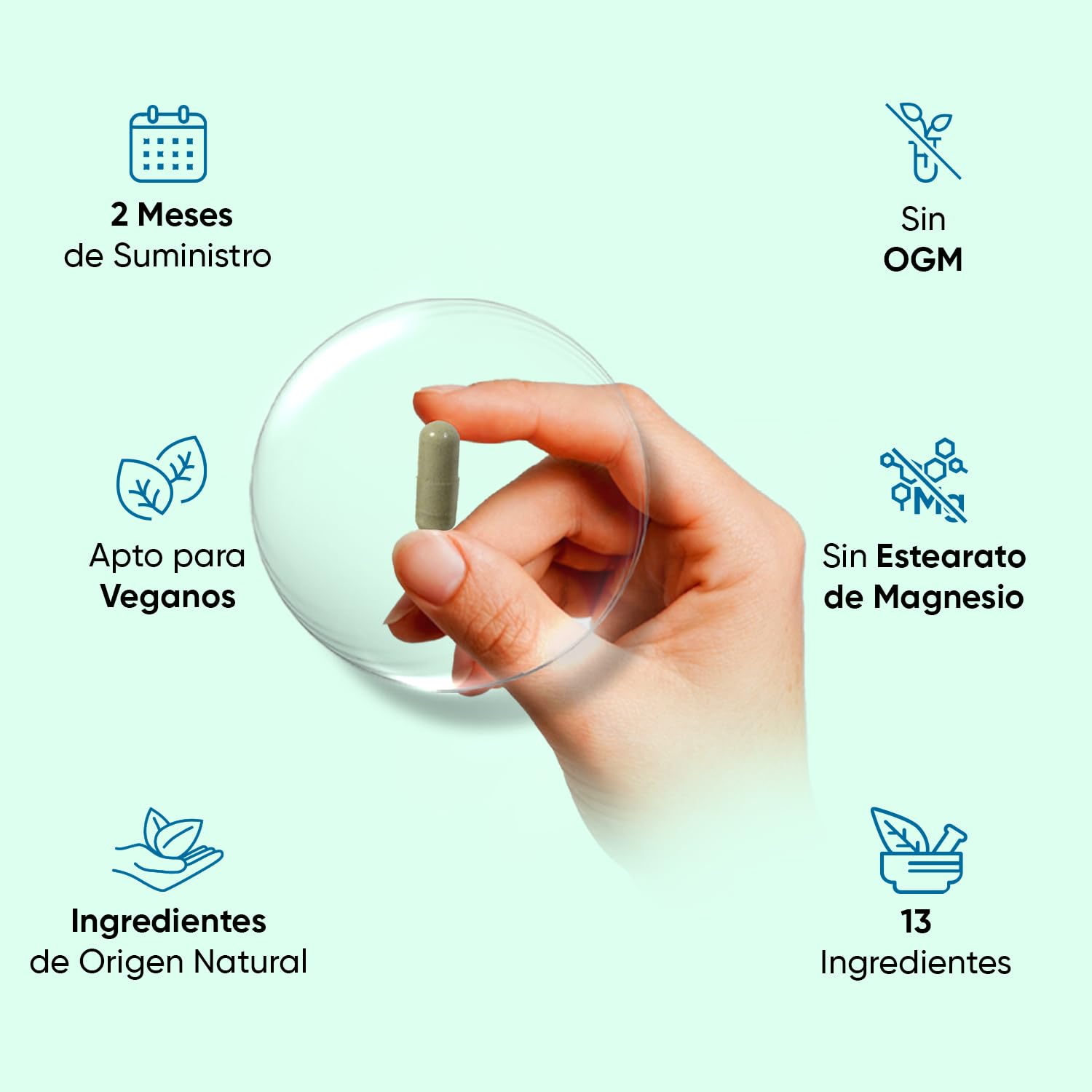 Colágeno Vegano Complex 180 Cápsulas - Suplemento con Resveratrol Natural, Vitamina E, C, Ácido Hialurónico y Zinc - Origen Vegetal y Puro, para 2 Meses