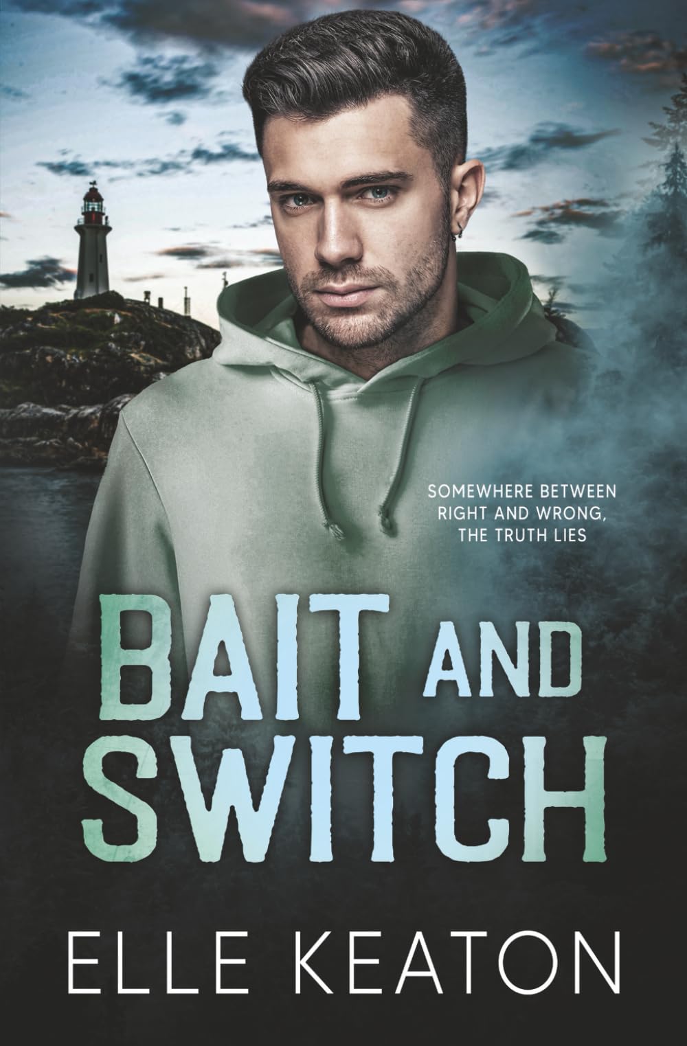 Bait and Switch: Karne and Lundin Book 2 (Subtle Deceptions)