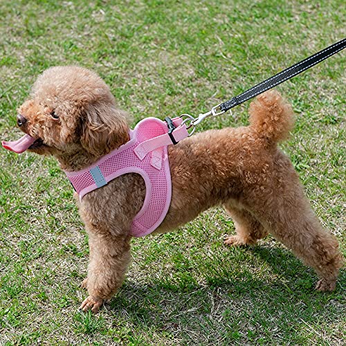PINA Dog Harness for Small Medium Dogs No Pull, Dog Harness and Leash Set, No Choke Breathable Mesh Dog Vest Harness… - Image 4