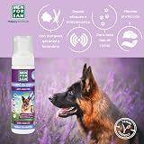 Ver la foto 2