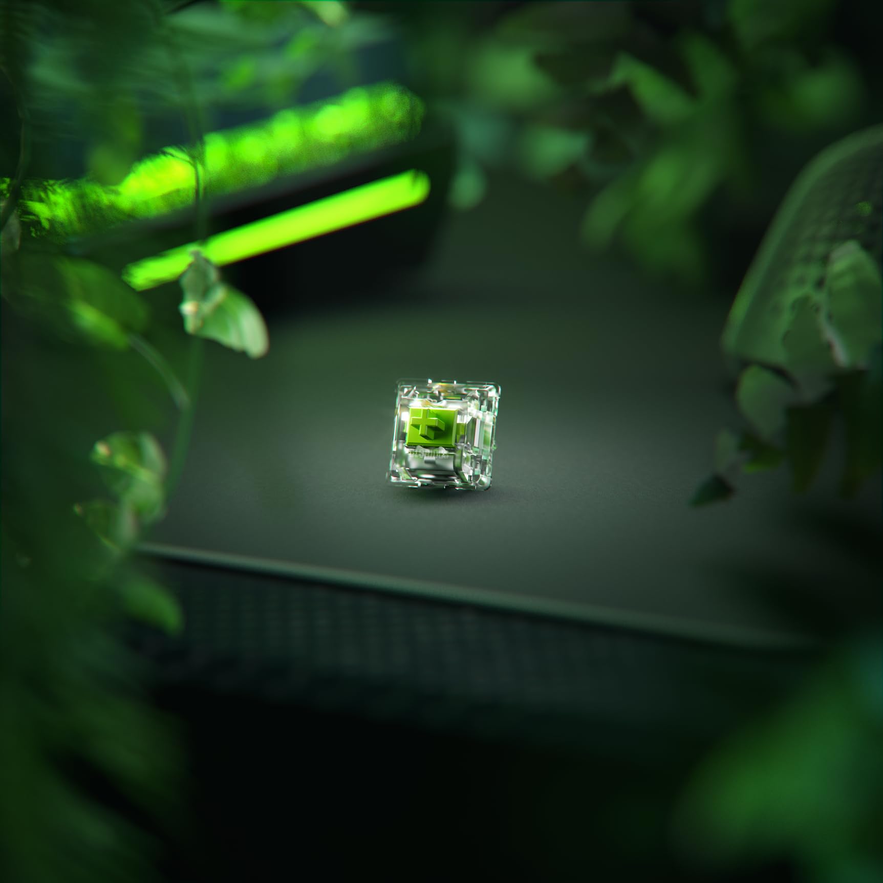Thumbnail 12