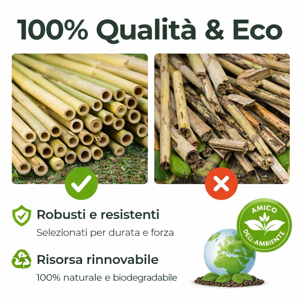 Tutori in Bambù Naturale – Pali per Pomodori, Sostegni per Piante da Interno ed Esterno – Bastoni per Orto e Giardinaggio – Lunghezze da 40 a 240 cm (10, 180, Centimetri)