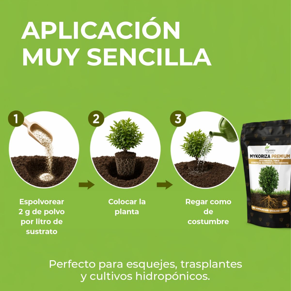 Mykoriza – Polvo Orgánico de Micorrizas con Hongos Endomicorrícicos y Ectomicorrícicos para el Crecimiento de Raíces, Absorción de Nutrientes y Cultivos (1KG)